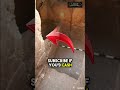 Family Finds 2 000 Year Old Secret Beneath Their Living Room History ViralFacts Shorts