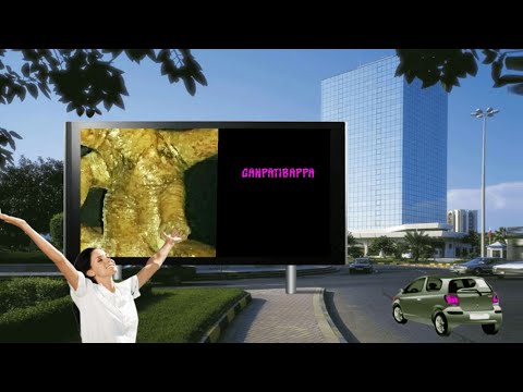 TOPMOST BONSAI"5G​" VERSION  70yr old  MOST EXPENSIVE BONSAI GOLD (No water/Soil/Care)