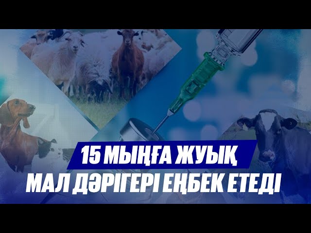 Барлық мал дәрігерлік қызметке көлік берілді