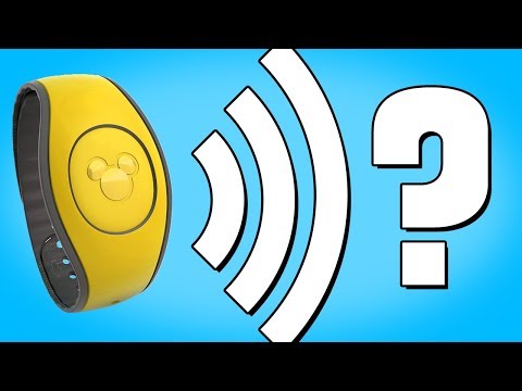 迪士尼遊樂設施如何知道我們的名字 (How Disney Rides Know Our Names)