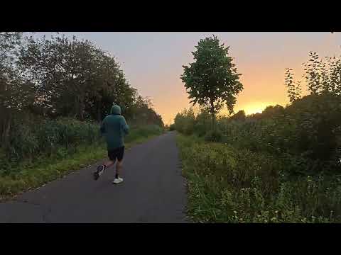 Walk 4 K Harelbeke #belgium #4k