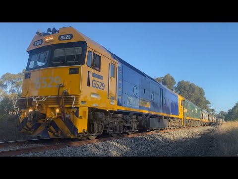 Down 9147 Pacific National empty grain train with G529 and G528 from Geelong heading North 24/2/2024