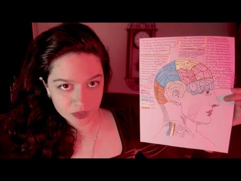 ASMR~ British Full Phrenology Exam {Skull Measuring}