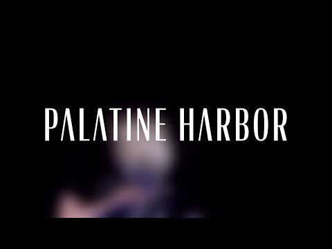 Palatine Harbor - A Single Moment of Sincerity - Asking Alexandria cover