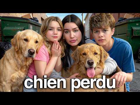 On a Trouvé Un Chien ABANDONNÉ