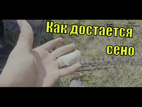 Как достаётся сено/ Семья Фетистовых/ Жизнь в деревне