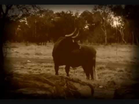 This Is The Outback The Last Frontier - Lee Kernaghan