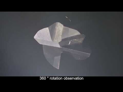 3D Motorize Döner Mikroskop (Ekranlı)