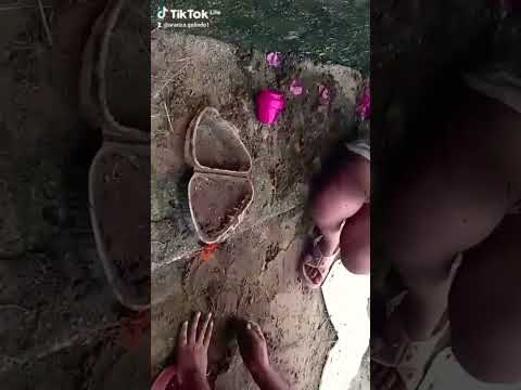 jijijiji 😂😂 en Venezuela del estado Zulia municipio machique de perija en san Felipe