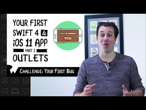 14  Challenge   Your First Bug