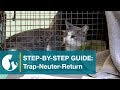 Step by Step Guide: Trap-Neuter-Return