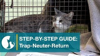 Step by Step Guide: Trap-Neuter-Return