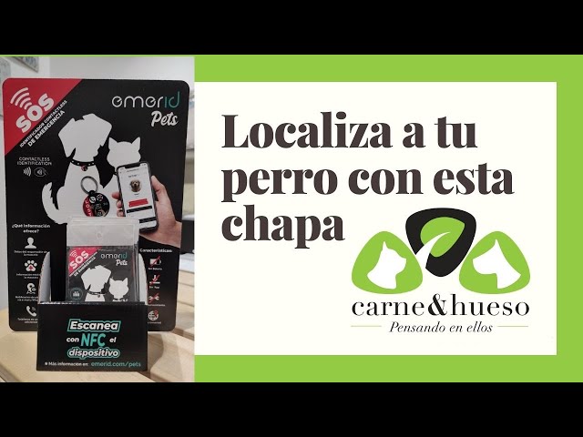 Vídeo relacionado con CYP Brands- Chapa Identificativa para Perro Athletic Club (1)
