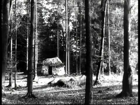Brüderchen und Schwesterchen | 1953 (BRD) | Ganzer Film