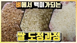 쌀 도정과정 영상