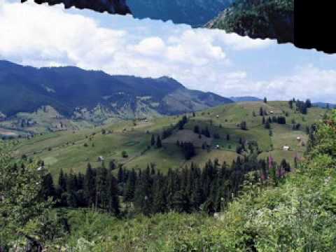 Vasile Mucea-Batraneasca