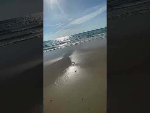 Walking around on the Beach 