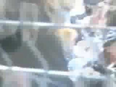 50/50 Split / Beatnik Filmstars