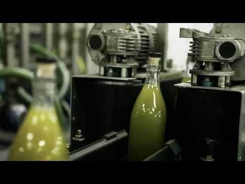 Azeite Costa Doro - Produção de Azeite