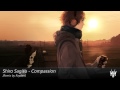 Shiro Sagisu - Compassion (Rayden Remix) 