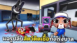 แฉรูปลับสัตว์ติดเชื้อทั้งโรงพยาบาล