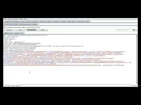 01 What is a Bug Bounty Program Bug Bounty Hunting Guide to an Advanced Earning Method