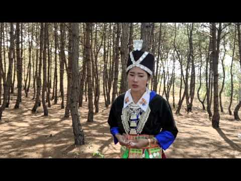 ntxhi yaj hai kwv txhiaj nyab nu tsis hlub..03/03/2021