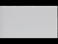 White Screen Of Death On My Bird On A Wire 1990 VHS Version 2