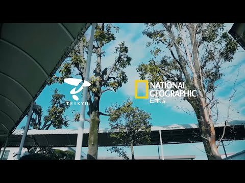 日本文化学科 【帝京大学 ✕ ナショジオ コラボ動画】帝京大学シルクロード学術調査団「アク・ベシム遺跡の学術調査」
