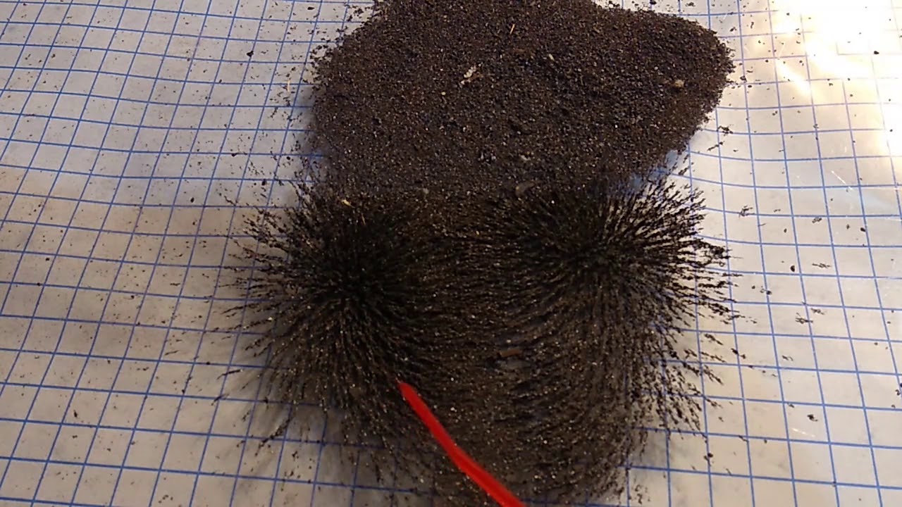 Linhas de Campo Magnético experimento