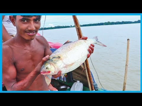 Amazing Fast Hilsa Fishing Skill (PART 90) - Catching Hilsa Fish Big in the River
