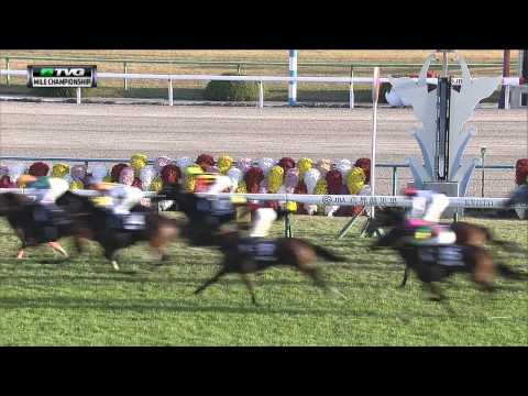 Japan Racing - Danon Shark Wins the Grade 1 Mile Championship