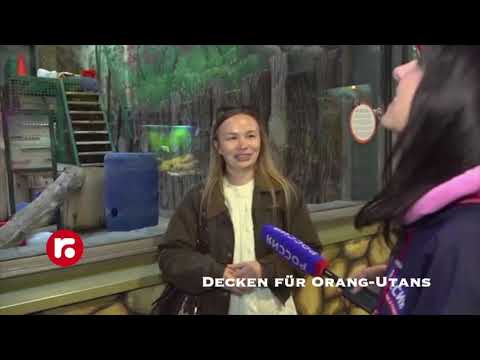 Decken für Orang Utans