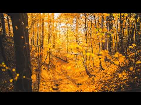 Temple One feat. Hannah Ray - Autumn Leaves