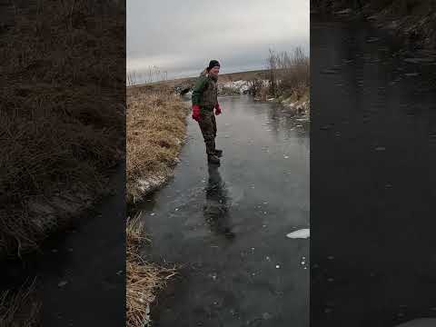 BEAVER VS. TRAPPER!  #mcsquallers #hunting #trapping  #coonhunting #wildlife