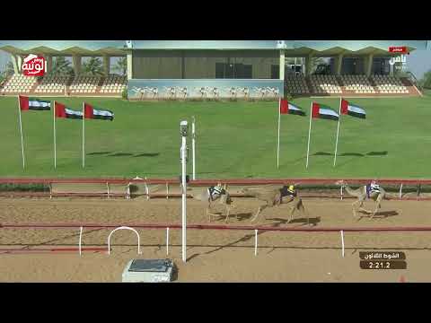  ش 30 (الظبي) لـ مسلم علي سعيد الساعدي 2:16:6 , تسعيرة بن حماد الشامسي 2026/04/18 فطامين 