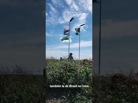 Tezanos Pinto. Dto. Sauce (al sur). Paraná Campaña. E. Ríos. Entrando por camino vecinal. parte 2