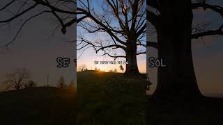 Aprendendo com os Erros Recomeçando e Superando Desafios | Motivacional - #Shorts