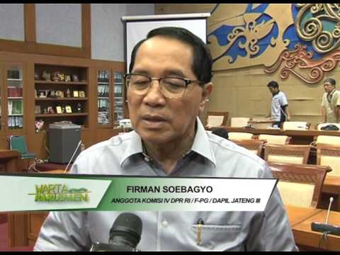 Menandai Hammer Thor Bagaimana membangkitkan Wanita jari