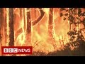 Australia bushfires: 'It's like fireballs exploding in the air' - BBC News