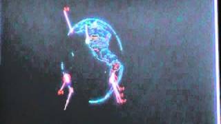 3d Earthquake Report (6.1 Tonga) USGS 04 September 2010