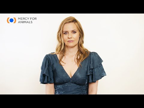 Undercover Investigations - Mercy For Animals Undercover Investigations