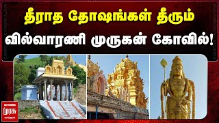 Temple video