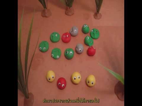 คลิกเพื่อดูคลิปวิดีโอ