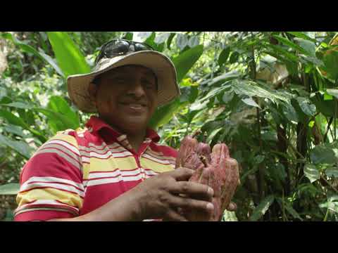 HCP BFREE Teaser Trailer