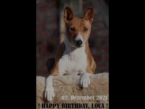 Happy 16. Birthday, Loua ❤️