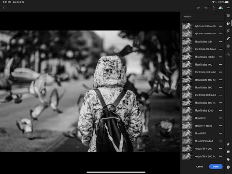 2019-09-29 RNI All Films 5 Pro Presets / Profiles / LUTS Review for Lightroom