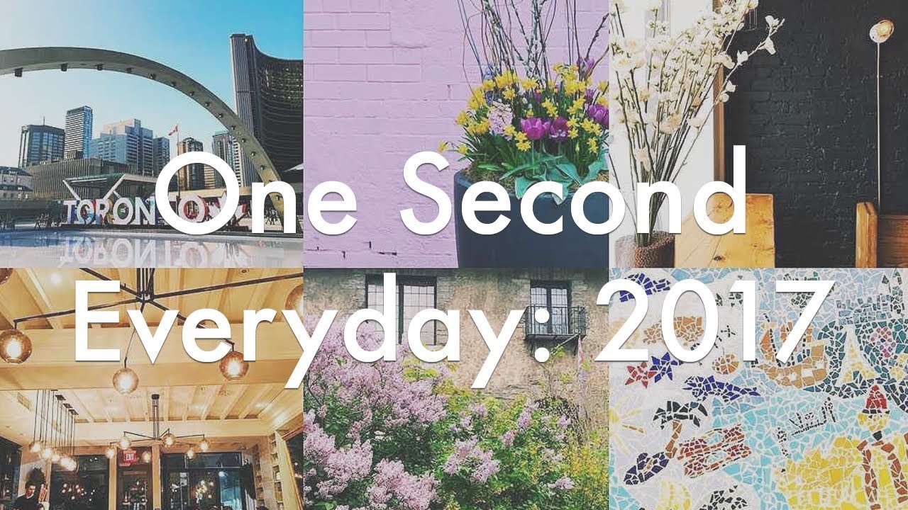 One Second Everyday: 2017