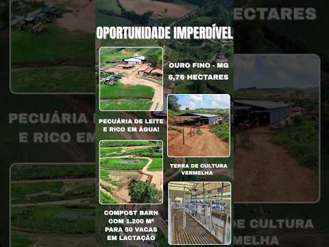 SÍTIO PRODUTIVO EM OURO FINO/MG #sitioavenda #imovelrural #chacara #propriedaderural #corretor