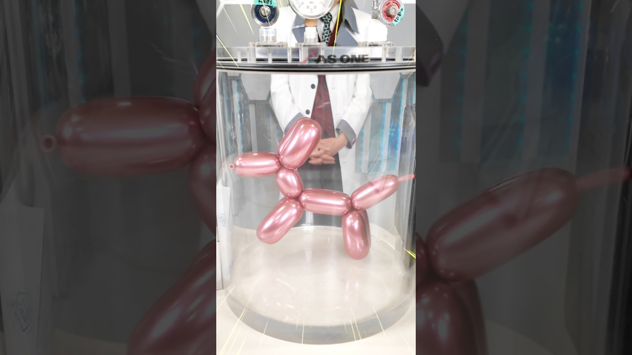 【悲報】バルーンドッグ、真空の力でムキムキになった結果…